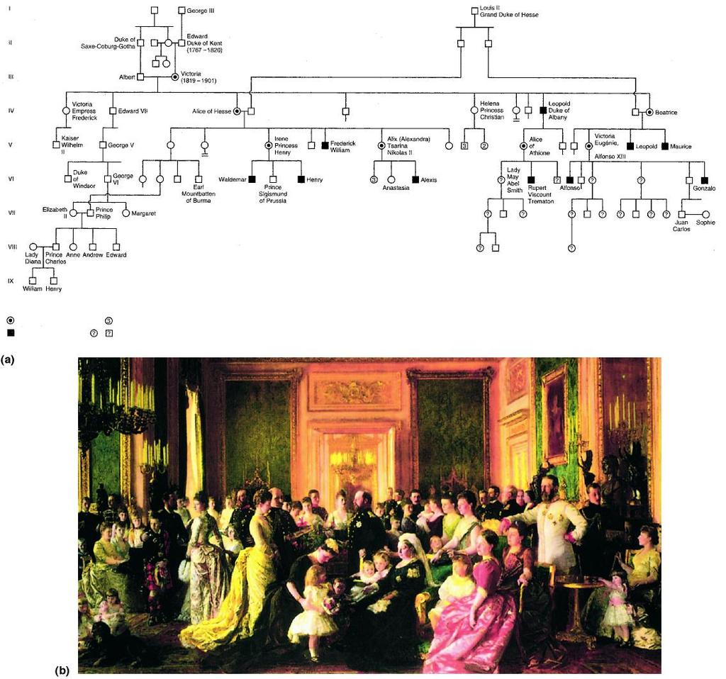 Albero genealogico della