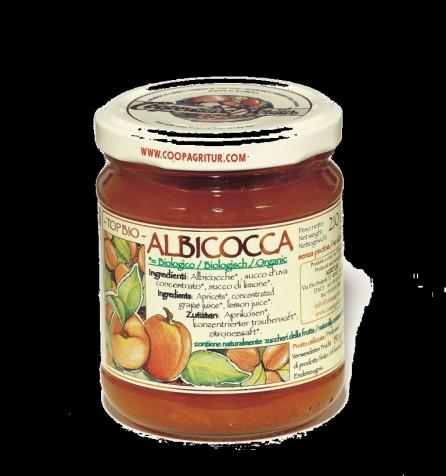 Modena IGP Antica Ricetta biologico 250 ml Parmigiano Reggiano DOP oltre 36