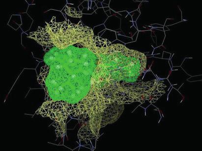 ISOPYRAZAM contro oidio e alternaria: la tecnologia Double-Binding Isopyrazam crea un forte legame con il SITO TARGET del fungo patogeno in quanto: lega fortemente