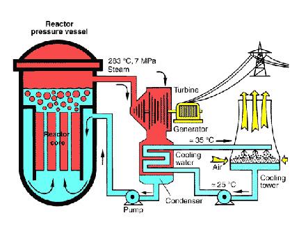 Refrigerante/moderatore acqua BWR (Reattore acqua