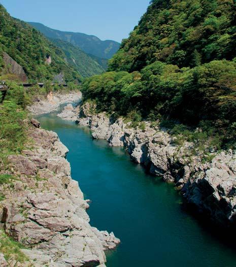 Il nostro giudizio o suggerimento: Partecipare alla danza dell Awaodori a Tokushima e sentirsi giapponesi!