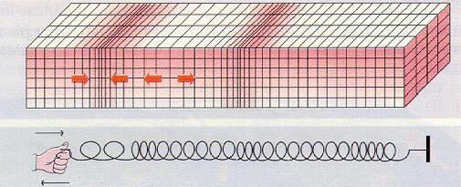 Le onde longitudinali: si possono immaginare come onde ottenute facendo oscillare avanti e indietro una molla, ancorata ad un estremità sono anche dette primarie (P) perché sono le più veloci