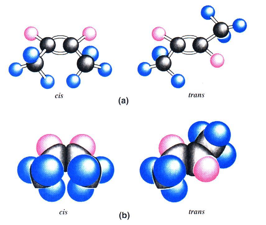 Alcheni: isomeria cis/trans Attorno agli atomi di C uniti mediante il doppio legame la rotazione è impedita.