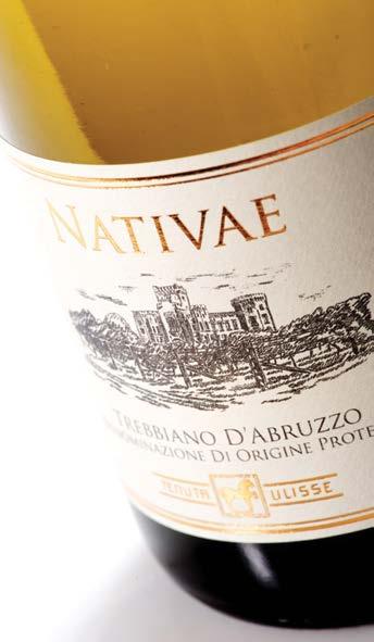 Un vino di classe indiscutibile, è l omaggio doveroso, d amore e di rispetto, alla più grande uva rossa d Abruzzo. Colore: colore rosso rubino intenso con lievi riflessi granati.