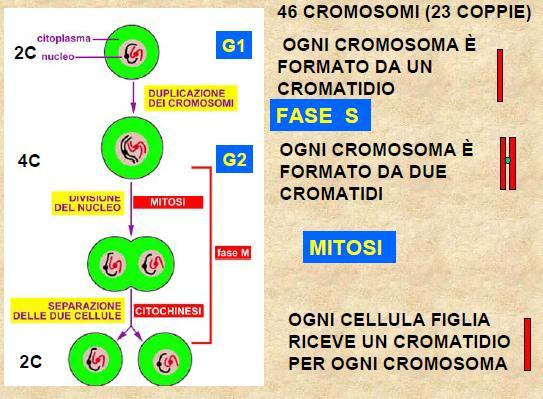 La composizione dei