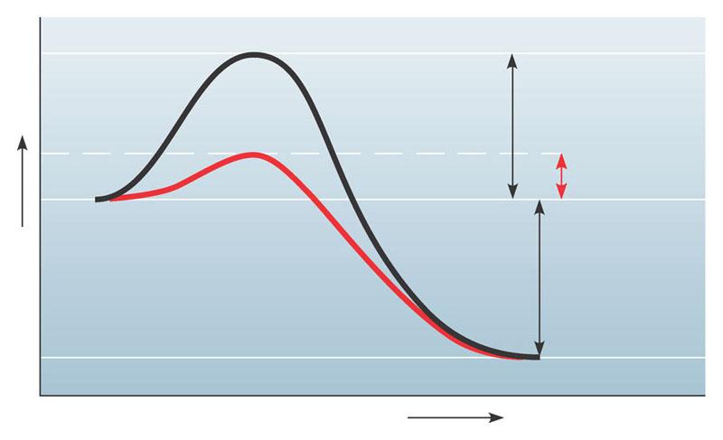 Un enzima è una molecola proteica che si comporta come catalizzatore biologico.