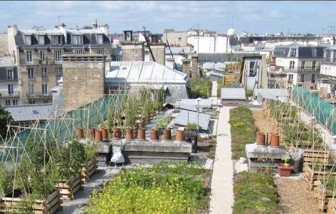 XIII arrondissement Orto sul tetto della Grande