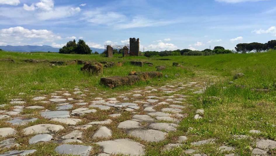 Specie di spazi agricoli: agro romano Nell Agro sono stati censiti oltre 6000
