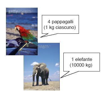 PESO MOLECOLARE Esempio: 4 pappagalli (1 kg ciascuno) ed 1 elefante (10000 kg) Massa totale Σi Ni Mi = Σi Wi =(4 x 1 kg) + (1 x 10000 kg) = 10004 kg Numero totale ΣiNi = (4 + 1) = 5 Peso molecolare