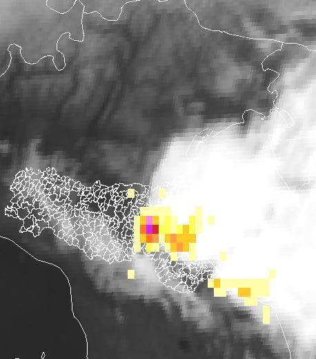 Bolognese. Le cumulate orarie da radar delle 11, 15, 21 e 22 UTC sono mostrate in Figura 14.