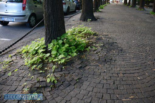 chiudendo il passaggio delle auto ed è una scelta che non prenderemo. Dobbiamo quindi pensare a mantenere al meglio quanto già esiste.