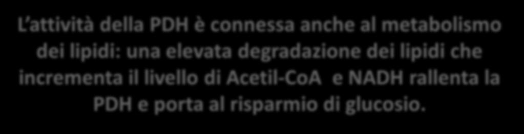 il piruvato (le esigenze cellulari sono soddisfatte) L attività della PDH è connessa anche al metabolismo dei