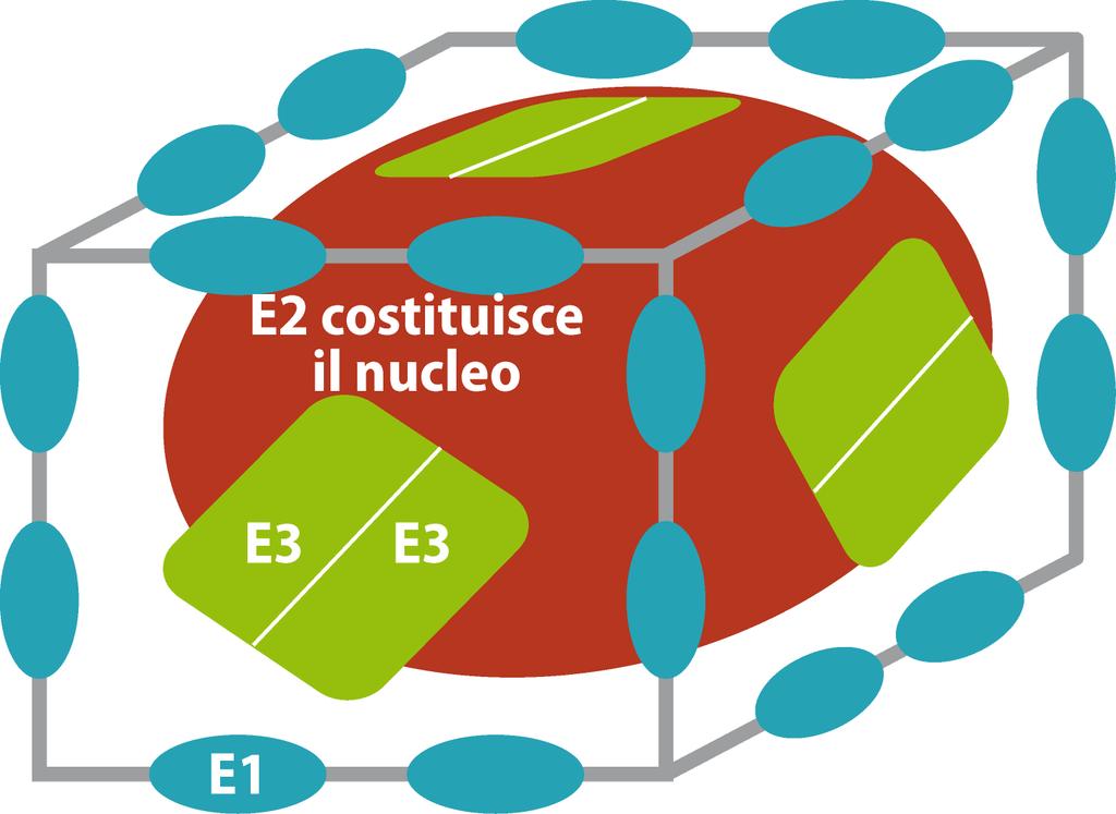 In E. coli: le 24 subunità E2 costituiscono il cuore del complesso Mike