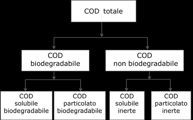 S S X S S I X I Figura 2. Schema di frazionamento del COD. Le frazioni del COD che determinano il consumo di ossigeno per l ossidazione sono solamente quelle biodegradabili solubile e particolata.