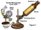Microscopia Ottica Per quanto antica, la microscopia