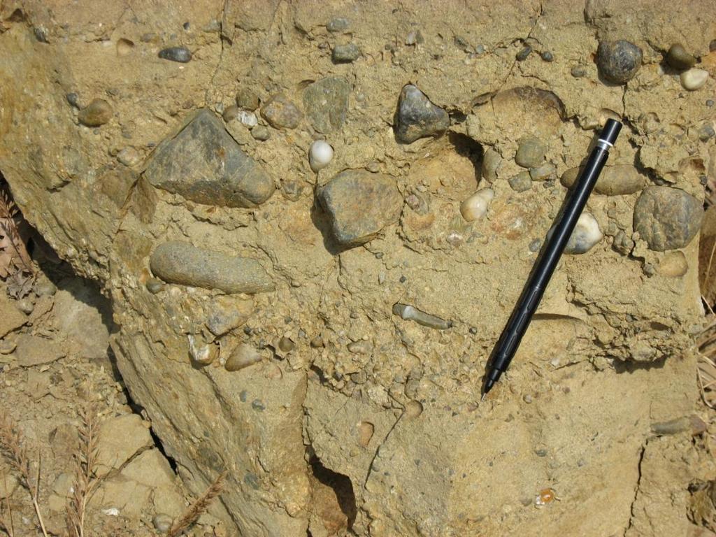 Rocce sedimentarie Rocce clastiche, Conglomerati I paraconglomerati sono anche chiamati