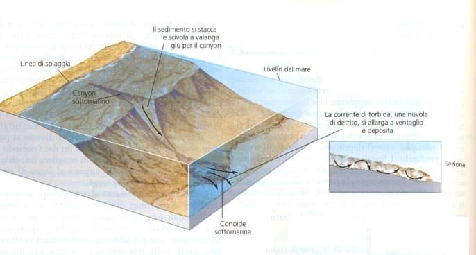 Correnti di torbidità II strati risedimentati t Frana sottomarina