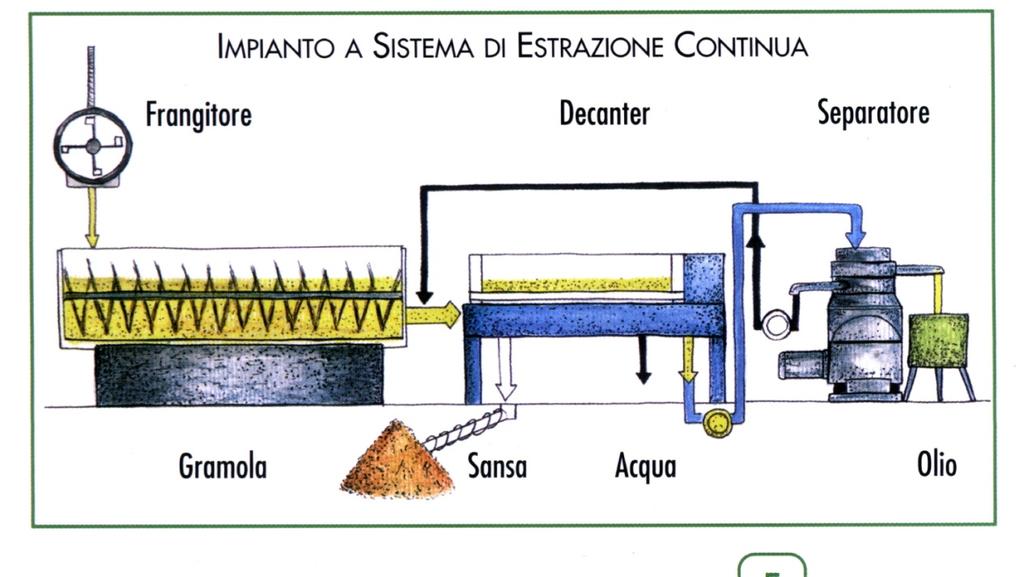 BERICI DEL GRAPPA Giallo con lieve Verde oro con Verde oro da intenso modeste variazioni tonalità di verde per a marcato del giallo gli oli freschi Fruttato di varia Fruttato di varia Di fruttato