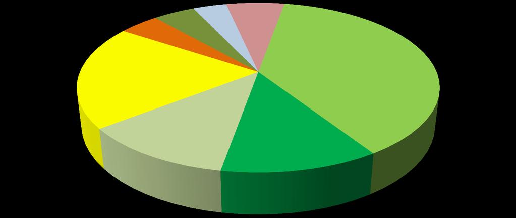 L attuazione del PSR 2007-2013 Distribuzione % della spesa pubblica del PSR per misura (2007-11) Accrescimento VA (Mis.123) 4,3% Diversificazione Giovani (Mis.311) (Mis.