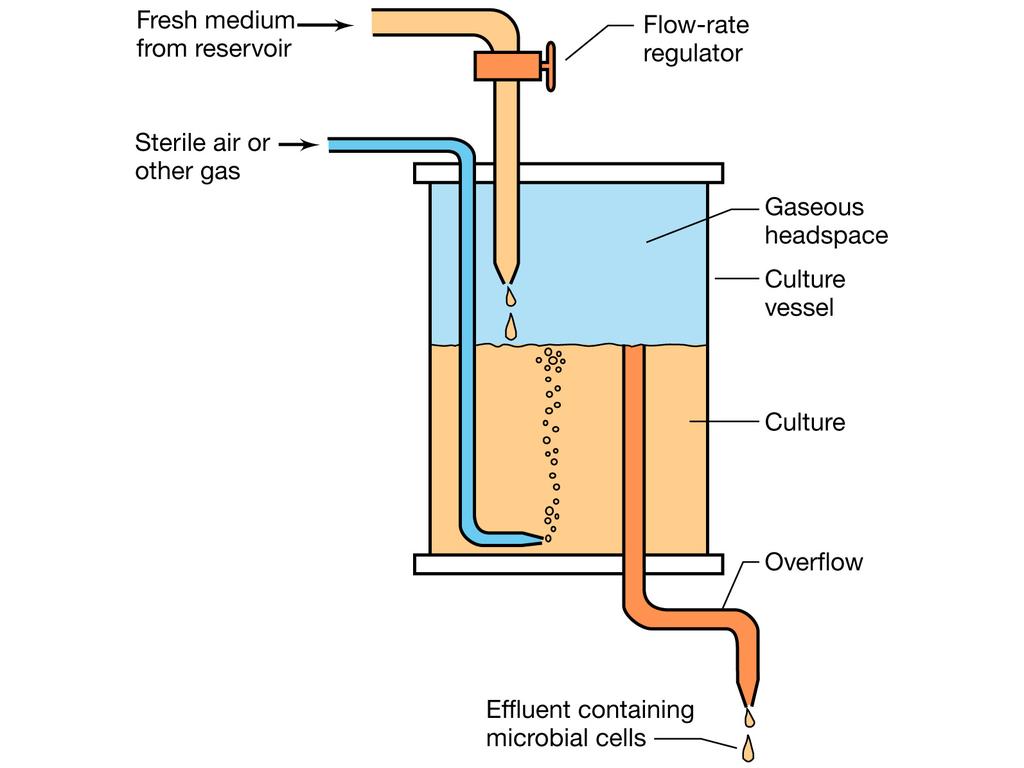 Oltre alle colture in batch esiste anche la possibilità di far crescere i M in COLTURE in CONTINUO Queste vengono realizzate in chemostati in