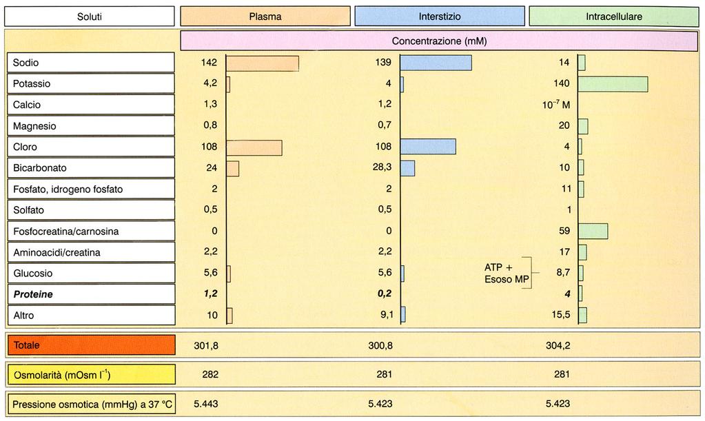 Distribuzione dell acqua