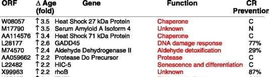 Gene Expression