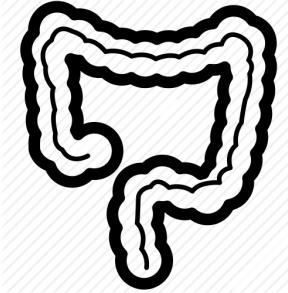 Procedure diagnostiche durante la gravidanza e l allattamento Esami endoscopici: EGDS, Rettosigmoidoscopia/Colonscopia, ERCP raccomandazioni generali o o o o o o o Avere una forte indicazione all
