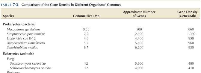 Comparazione della densita genica in genomi di organismi diversi.