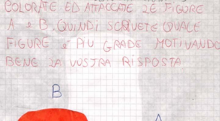 Il secondo lavoro farà emergere il concetto di area e