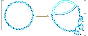 Le TOPOISOMERASI Stampo di DNA circolare saldato covalentemente DNA lineare DNA superavvolto Esistono 2 tipi di topoisomeasi: