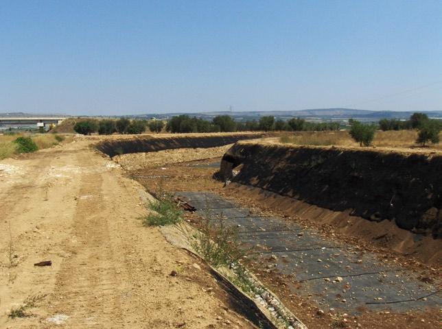 affidabilità (riduzione delle aree allagabili) degli interventi proposti.