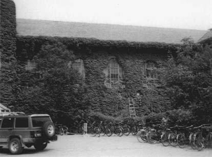 Fig. 1 Vista della parete ovest della biblioteca (parte vecchia) dell Università Tsinghua a Pechino.