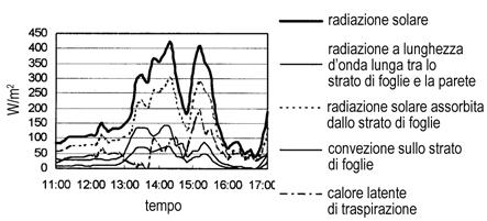 Fig. 5 Confronto dell andamento della temperatura superficiale per la parete verde (rivestita di edera) e per la parete spoglia riferito alla fascia oraria pomeridiana del giorno 9 giugno 1996.