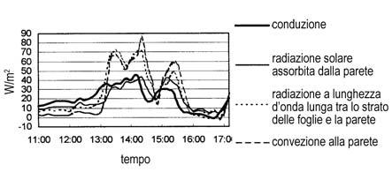 La convezione termica è stata simile sui due tipi pareti, ma la radiazione ad onda lunga dalla parete spoglia ha causato un maggior raffreddamento di quest ultima. Come evidenziato in Fig.