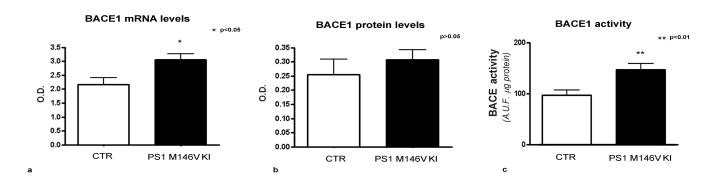 mrna e attività di BACE1 sono