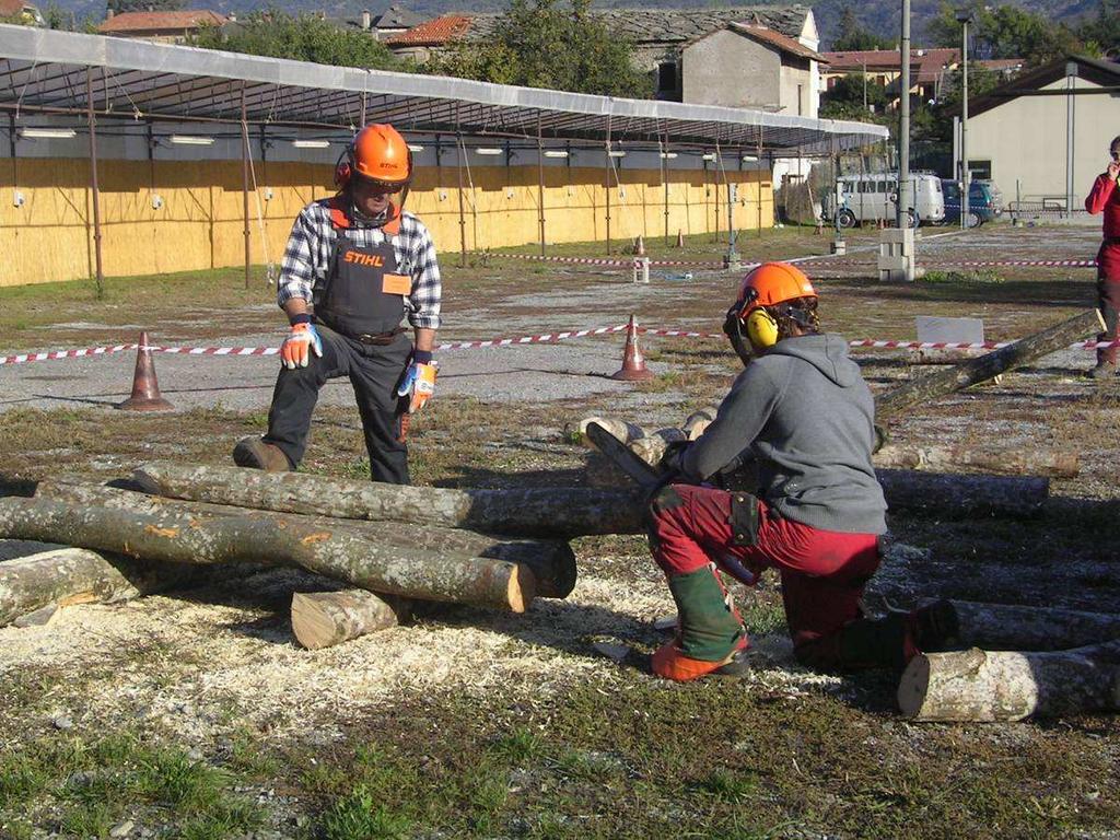 STRUTTURA ORGANIZZATIVA PERSONALE COINVOLTO: 1 responsabile - progettazione - organizzazione - coordinamento amministrativo 1 coordinatore - aspetti di carattere tecnico 1 consulente RSPP -