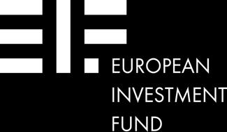 Il Gruppo BEI Eroga finanziamenti e consulenza