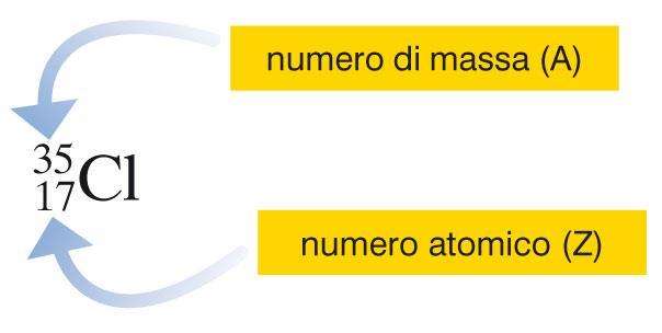 7. Il numero di massa e gli isotopi Conoscendo il numero atomico e il numero di massa