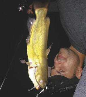 ) e dal peso ragguardevole di 10,8 chili (vedi foto a destra); l ha pescato sul lago Verbano, usando come esca un pesciolino in gomma da 14
