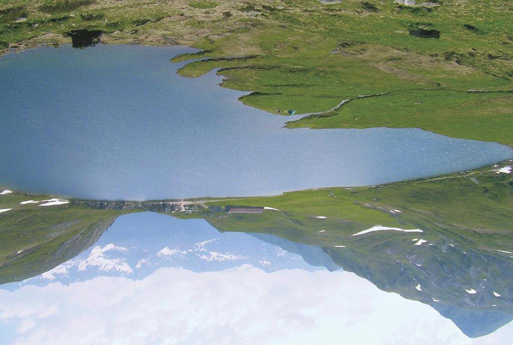 Lago Tom (foto wikipedia) Fig. 3 Accrescimento in lunghezza delle trote canadesi (17 individui). La linea rossa rappresenta la media fra tutti gli individui. Fig. 4 Accrescimento ponderale delle trote canadesi (17 individui).