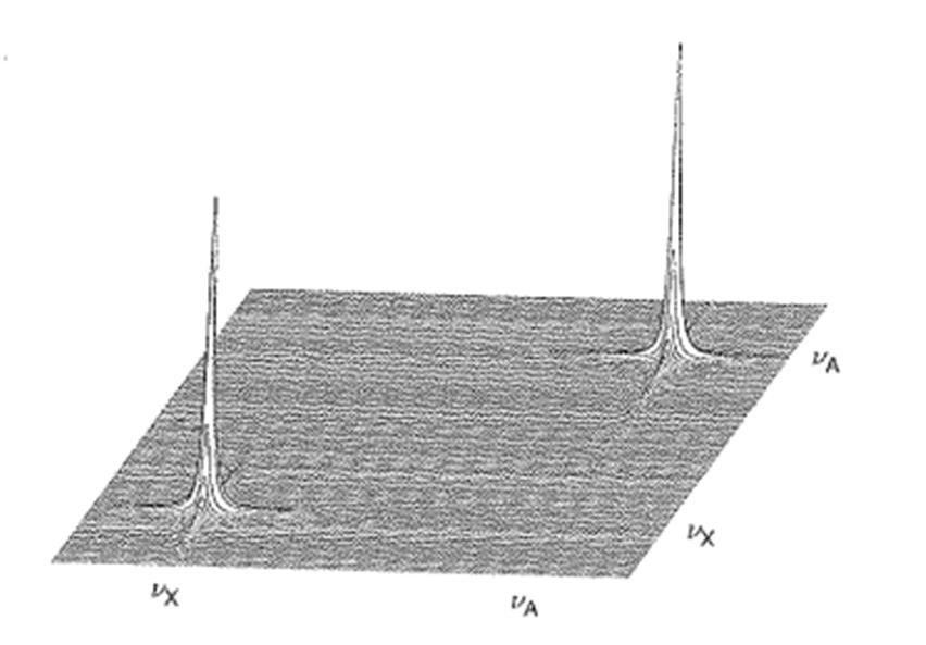 Spettroscopia NMR bidimensionale: rappresentazione degli spettri Spettro bidimensionale risultante