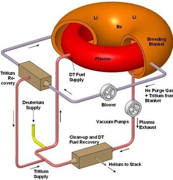 2. PRINCIPALI COMPONENTI DI ITER 23 2.1.8 Sistemi Esterni Ciclo Del Combustibile: Il combustibile usato in ITER è processato in un ciclo chiuso.