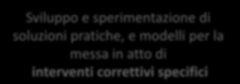 Sviluppi futuri Sviluppo e sperimentazione di soluzioni pratiche, e modelli per la messa in atto di interventi correttivi specifici Sperimentazione di strumenti e iniziative per la valutazione del