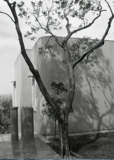 Serie fotografica (Massa Lubrense, 1966 Descrizione Napoli. Architetto Capobianco. Villa Castellano a Punta Lagno.