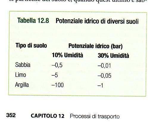 L acqua intride il suolo e viene trattenuta dalla capillarità potenziale idrico nei diversi suoli Il movimento sarà