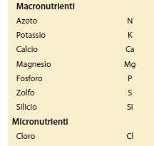 Elementi nutritivi