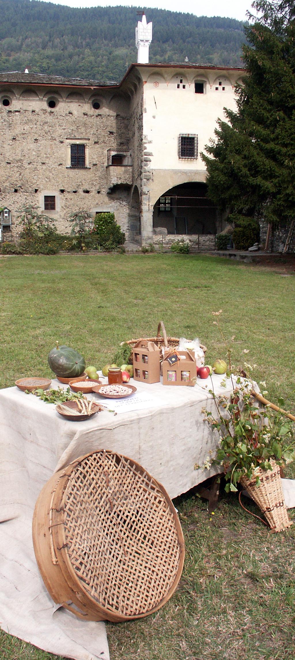 Il vasto giardino a sud del palazzo, sede di varie manifestazioni culturali (foto: G.