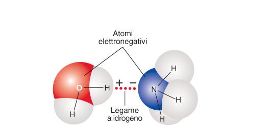 negativamente Idratazione di un composto ionico