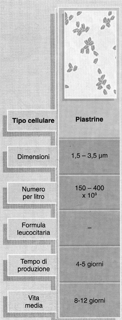 Le piastrine