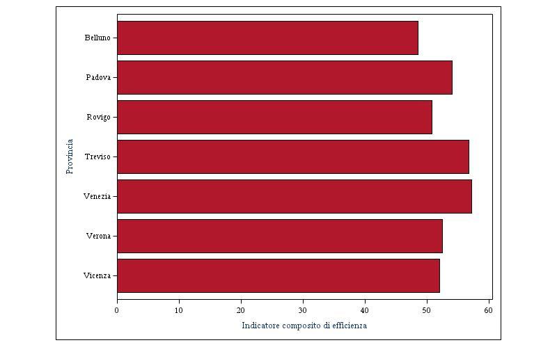 NUOVI PRODOTTI: L ANALISI DELL EFFICIENZA TECNICA Punteggio dell indicatore